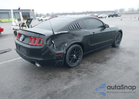 2014 Ford Mustang V6 z USA, uszkodzony, nr VIN 1ZVBP8AMXE5231175